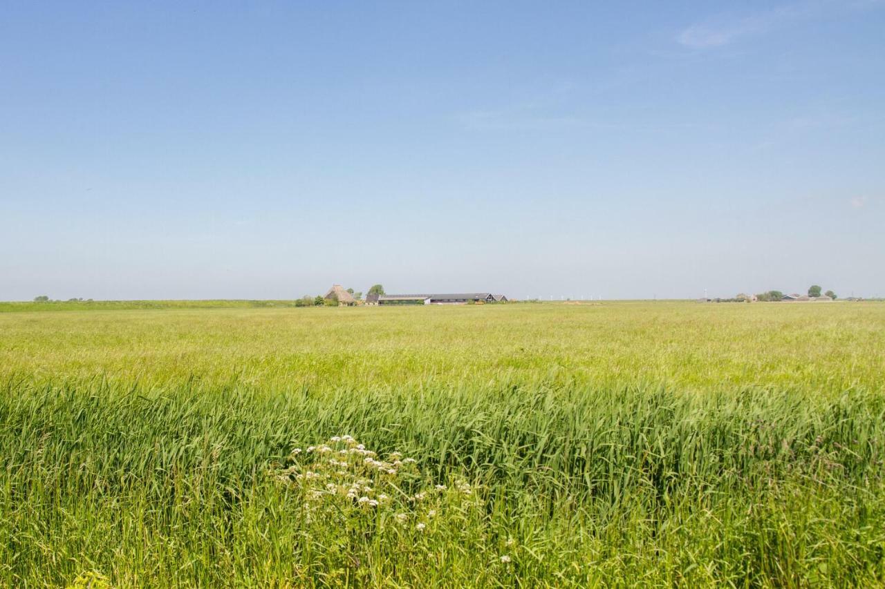 Traphoeve Schagen Kültér fotó